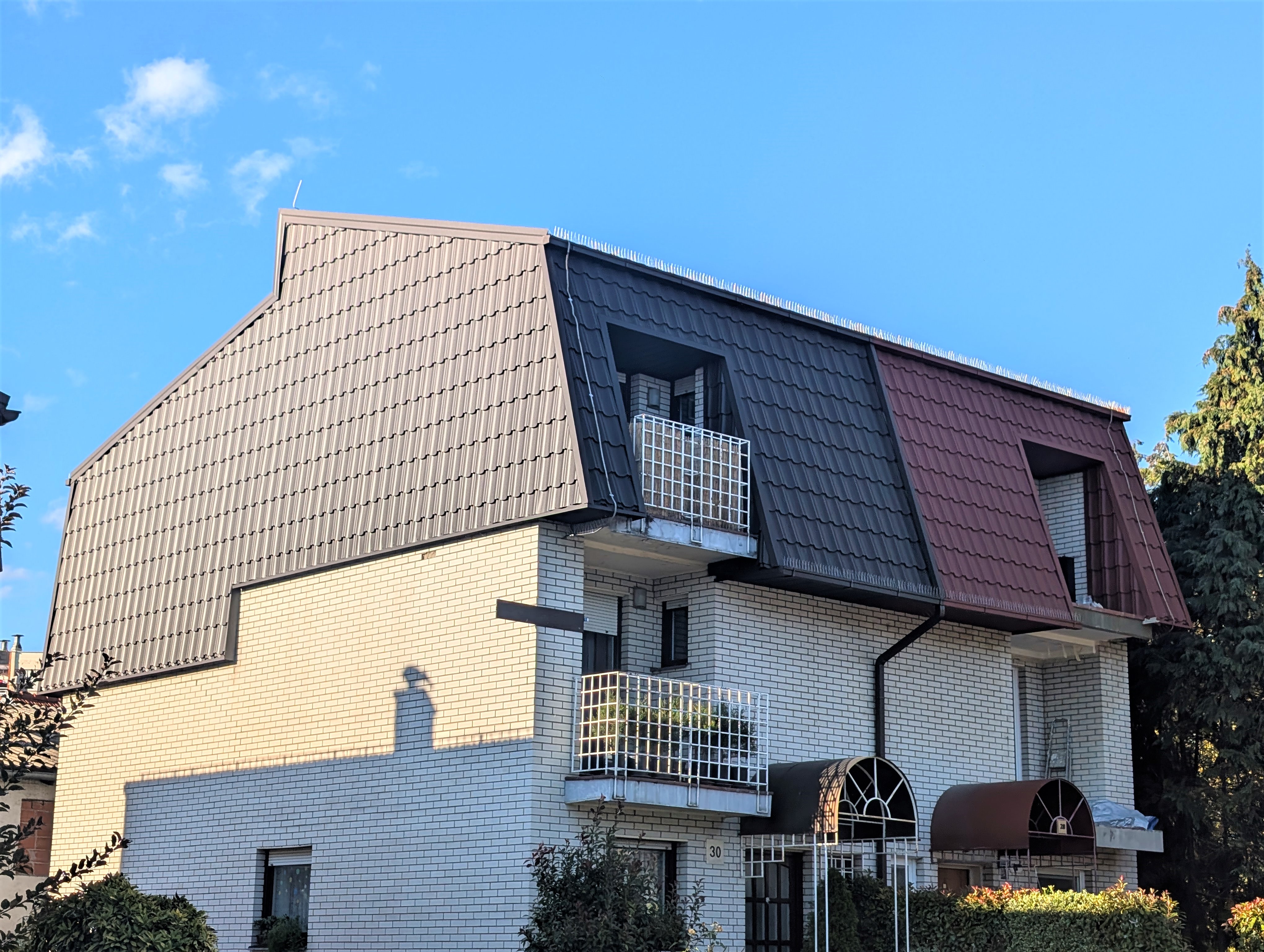 PXL 20241007 142949101.RAW 01.MP.COVER